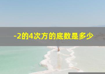 -2的4次方的底数是多少