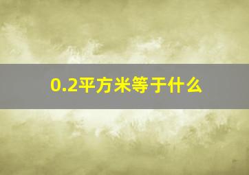 0.2平方米等于什么