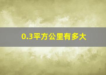 0.3平方公里有多大