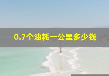 0.7个油耗一公里多少钱