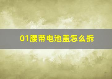 01腰带电池盖怎么拆