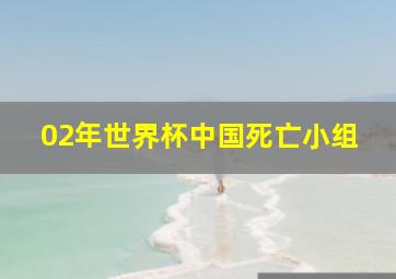 02年世界杯中国死亡小组