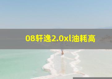 08轩逸2.0xl油耗高