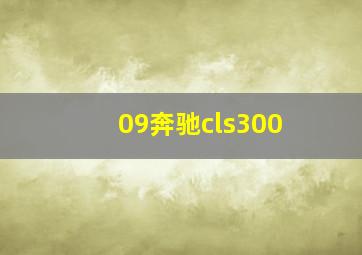 09奔驰cls300