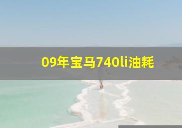 09年宝马740li油耗