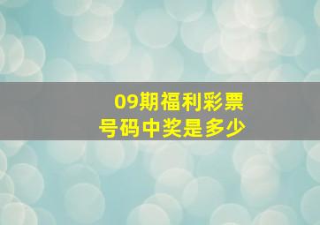 09期福利彩票号码中奖是多少