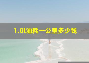 1.0l油耗一公里多少钱