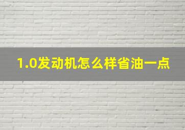 1.0发动机怎么样省油一点