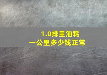 1.0排量油耗一公里多少钱正常