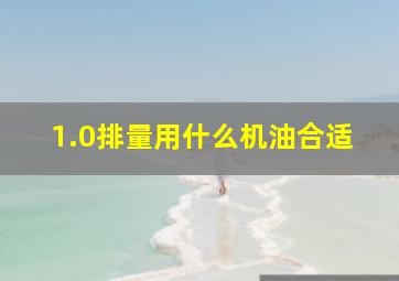 1.0排量用什么机油合适