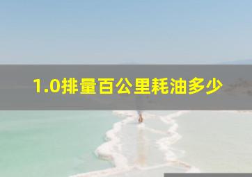 1.0排量百公里耗油多少