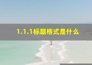 1.1.1标题格式是什么