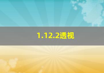 1.12.2透视