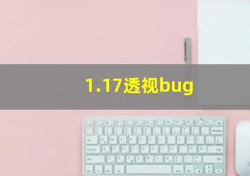 1.17透视bug