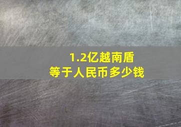 1.2亿越南盾等于人民币多少钱