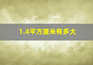 1.4平方厘米有多大