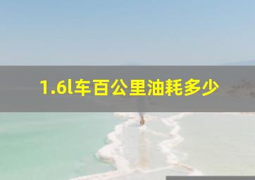 1.6l车百公里油耗多少