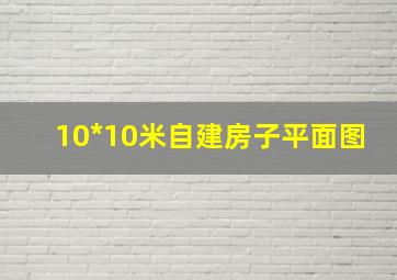 10*10米自建房子平面图