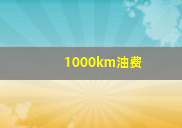 1000km油费