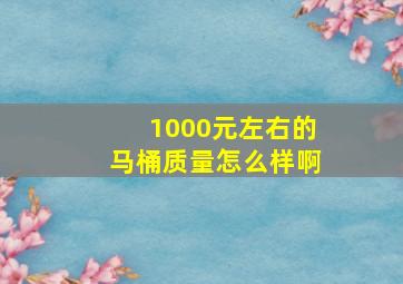 1000元左右的马桶质量怎么样啊