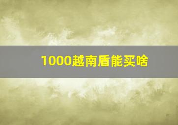 1000越南盾能买啥