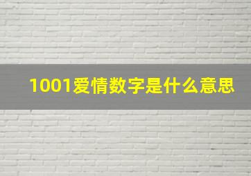 1001爱情数字是什么意思