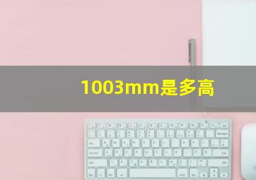 1003mm是多高