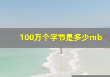 100万个字节是多少mb