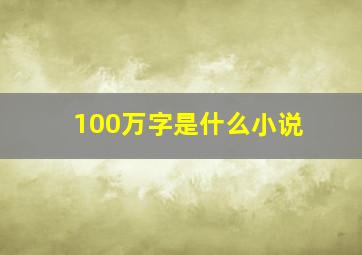 100万字是什么小说