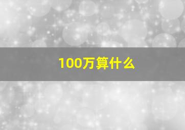 100万算什么