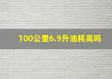 100公里6.9升油耗高吗