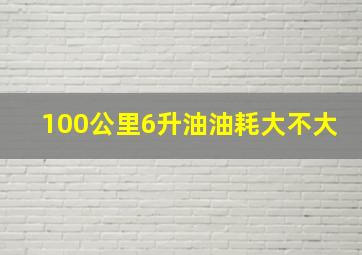 100公里6升油油耗大不大