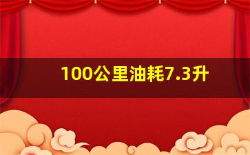 100公里油耗7.3升