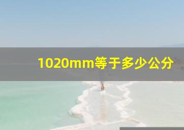 1020mm等于多少公分