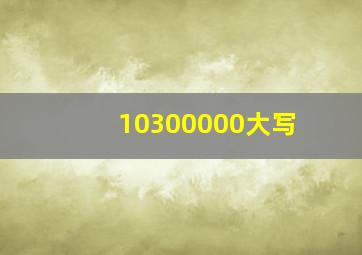 10300000大写