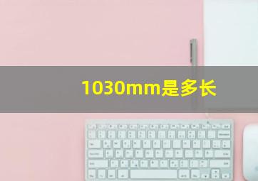 1030mm是多长