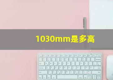 1030mm是多高