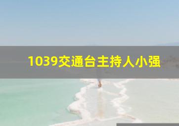 1039交通台主持人小强