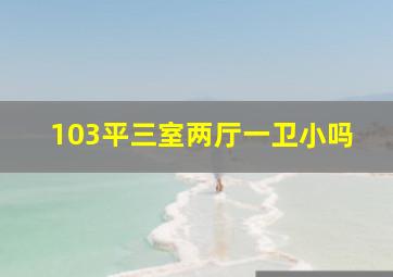 103平三室两厅一卫小吗