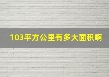 103平方公里有多大面积啊