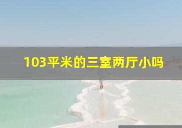 103平米的三室两厅小吗