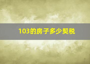 103的房子多少契税