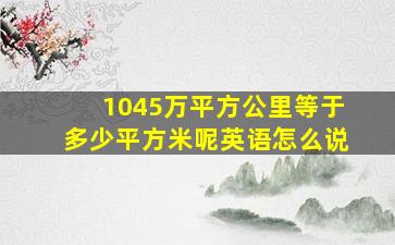 1045万平方公里等于多少平方米呢英语怎么说