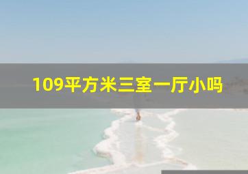 109平方米三室一厅小吗