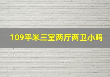 109平米三室两厅两卫小吗