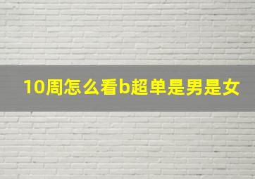 10周怎么看b超单是男是女