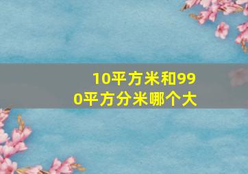 10平方米和990平方分米哪个大