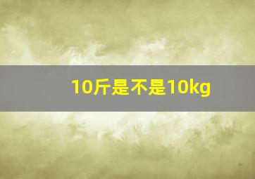 10斤是不是10kg