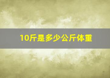 10斤是多少公斤体重