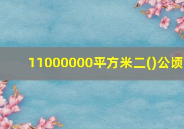 11000000平方米二()公顷